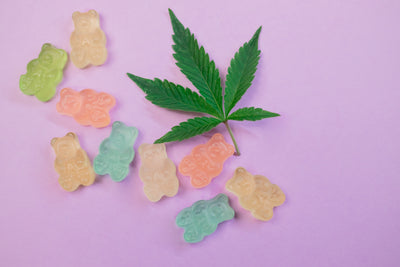 CBD Dosing Recommendations: Edibles, Topicals, and Oils